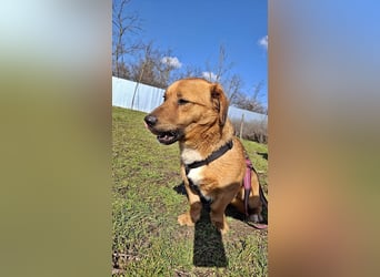 Carlos, freundlich und lieb