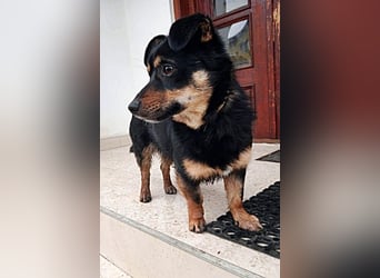 Monty * reserviert *