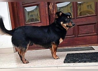 Monty * reserviert *