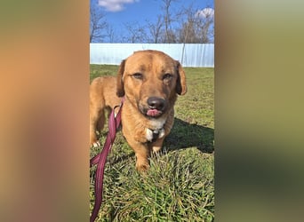 Carlos, freundlich und lieb