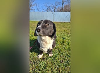 Daizy, eine freundliche kleine Lady