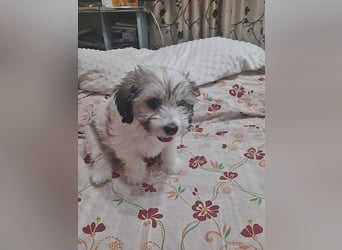 Nala *Anfragestopp*