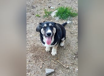 Agador, lieb und freundlich