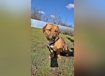 Carlos, freundlich und lieb