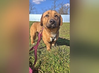 Carlos, freundlich und lieb