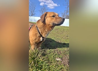 Carlos, freundlich und lieb