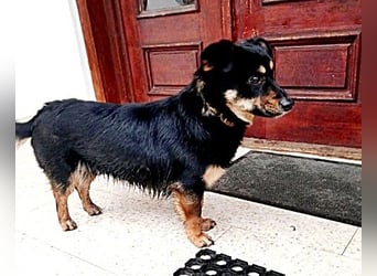 Monty * reserviert *