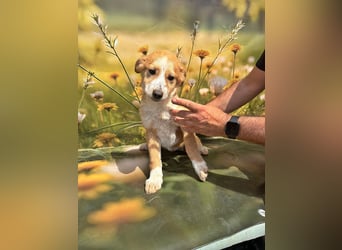 Lotta, lieb und verspielt