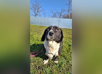 Daizy, eine freundliche kleine Lady