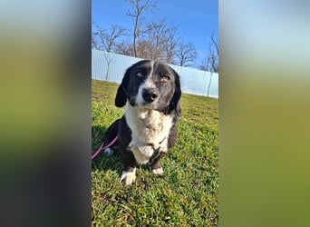 Daizy, eine freundliche kleine Lady