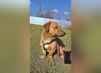 Carlos, freundlich und lieb