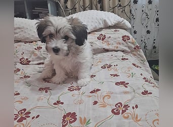 Nala *Anfragestopp*