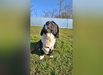 Daizy, eine freundliche kleine Lady