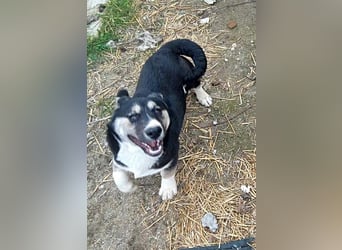 Agador, lieb und freundlich