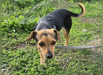 Charlotte: klein, aber oho!