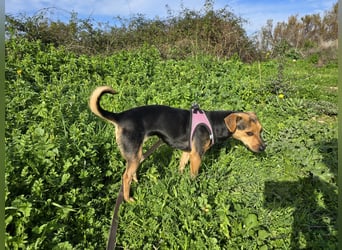 Charlotte: klein, aber oho!