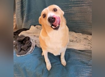 liebenswerte, sanfte PANINI