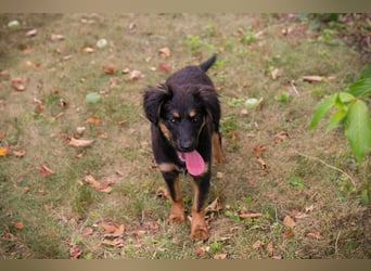 RONJA – Kleine Abenteurerin sucht ihre Herzensmenschen