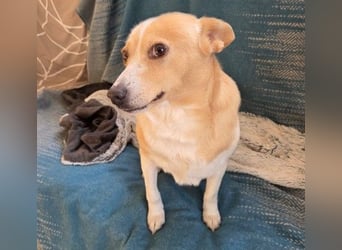 liebenswerte, sanfte PANINI