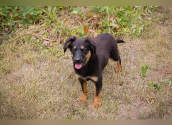 RONJA – Kleine Abenteurerin sucht ihre Herzensmenschen