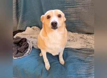 liebenswerte, sanfte PANINI