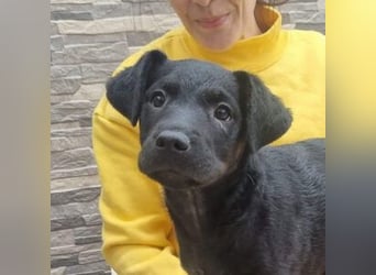 MARCO-sucht bald ein eigenes Zuhause