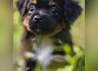 BIMBA-spannende Ausflüge, gemeinsame Urlaube und einem rundum Sorglos-Paket gewünscht