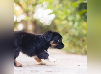 BIMBA-spannende Ausflüge, gemeinsame Urlaube und einem rundum Sorglos-Paket gewünscht