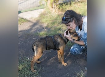 Vanessa -fröhliches, aufgeschlossenes Mädchen wartet auf liebevolle Für-immer-Familie