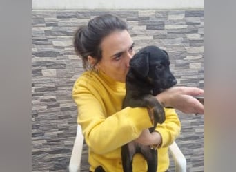 MARCO-sucht bald ein eigenes Zuhause