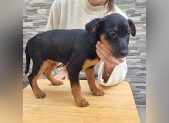 POLO-bald alt genug für seinen guten Start ins Leben