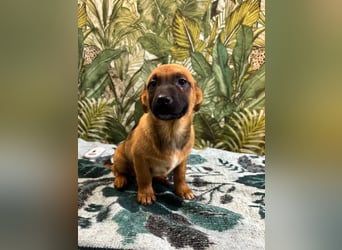 Cooper – bereit für die große Reise ins Glück