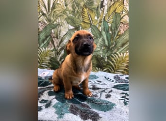 Cooper – bereit für die große Reise ins Glück