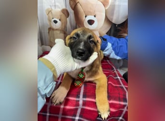 Max – hat sein Köfferchen schon gepackt