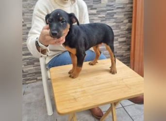 POLO-bald alt genug für seinen guten Start ins Leben