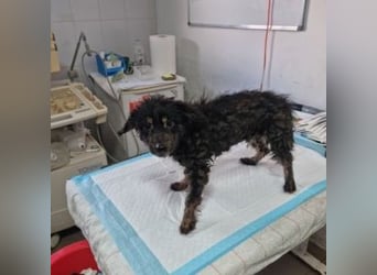LEO-Kleiner Leomann, aus Dir, kleiner Nacktfrosch wird einmal ein schöner und gütiger Prinz.