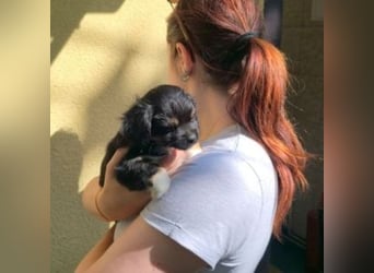 BIMBA-spannende Ausflüge, gemeinsame Urlaube und einem rundum Sorglos-Paket gewünscht