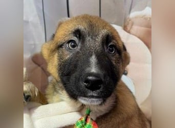 Max – hat sein Köfferchen schon gepackt