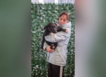 LORETTE - Zuckerschock, die kleine, unscheinbare Lorette sucht liebevolles Für-immer-Zuhause