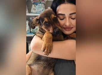 Vanessa -fröhliches, aufgeschlossenes Mädchen wartet auf liebevolle Für-immer-Familie