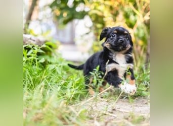 BIMBA-spannende Ausflüge, gemeinsame Urlaube und einem rundum Sorglos-Paket gewünscht