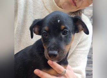 POLO-bald alt genug für seinen guten Start ins Leben