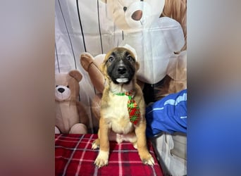 Max – hat sein Köfferchen schon gepackt