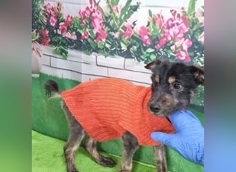 LEO-Kleiner Leomann, aus Dir, kleiner Nacktfrosch wird einmal ein schöner und gütiger Prinz.
