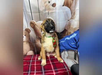 Max – hat sein Köfferchen schon gepackt