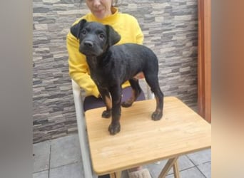 MARCO-sucht bald ein eigenes Zuhause