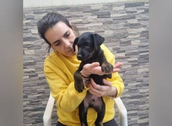 MARCO-sucht bald ein eigenes Zuhause