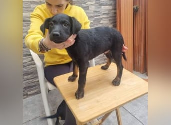 MARCO-sucht bald ein eigenes Zuhause