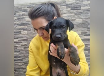 MARCO-sucht bald ein eigenes Zuhause