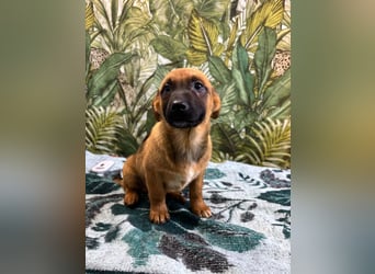 Cooper – bereit für die große Reise ins Glück